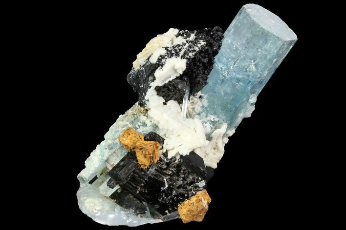 Gorgeous Aquamarine Crystal with Black Tourmaline - Namibia #92499